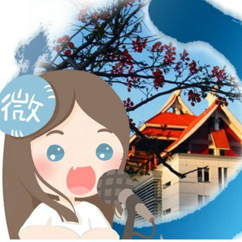 嘉庚微讯