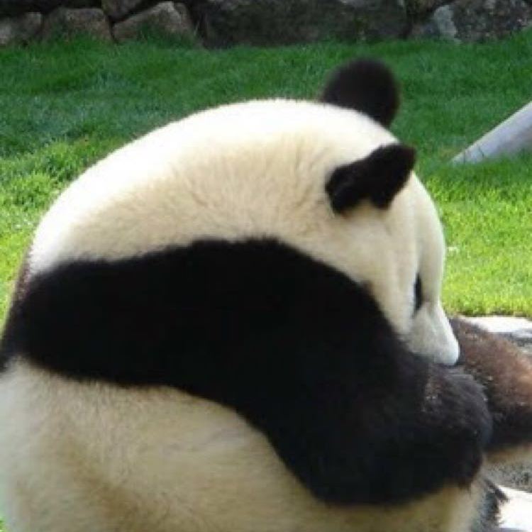 风中疾走