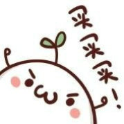 囤货君