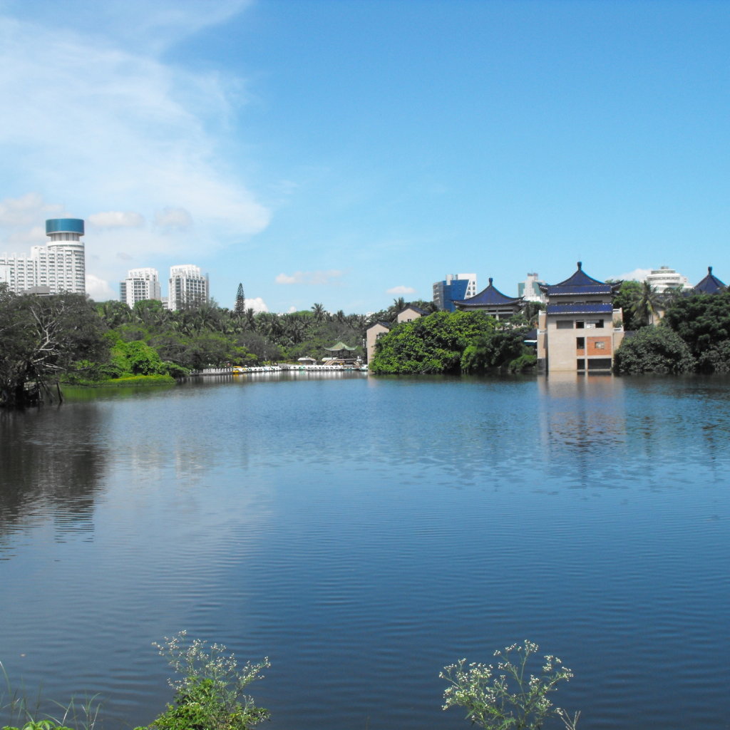 辽宁大学生在线