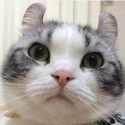 萌宠我最爱