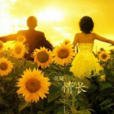 苏小暖-夕