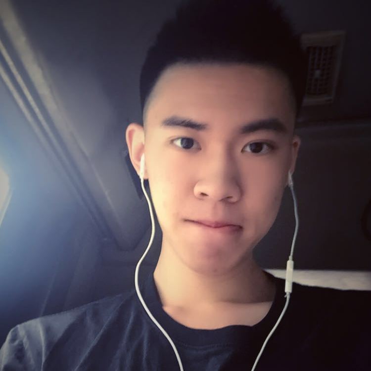 我系辉仔-