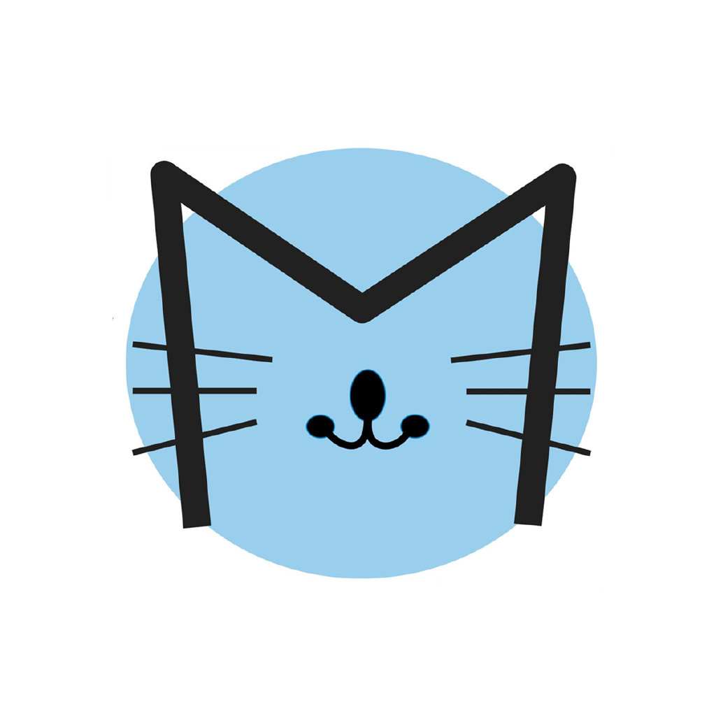 猫讯传媒运营总监