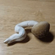 痛经不痛
