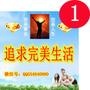 追求完美生活