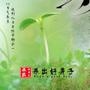 养出好身子