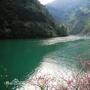 金华浦江