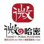 微哈密