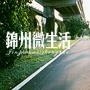 微锦州