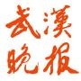武汉晚报