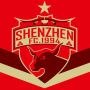 深圳市足球俱乐部
