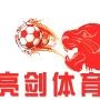 亮剑体育