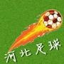 河北足球