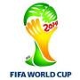 2014届巴西世界杯
