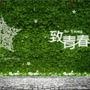 极青春