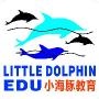 十堰小海豚教育