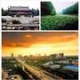 山东济宁