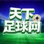 天下足球网
