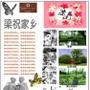 驻马店汝南