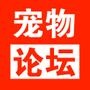 寵物