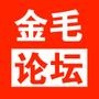 金毛