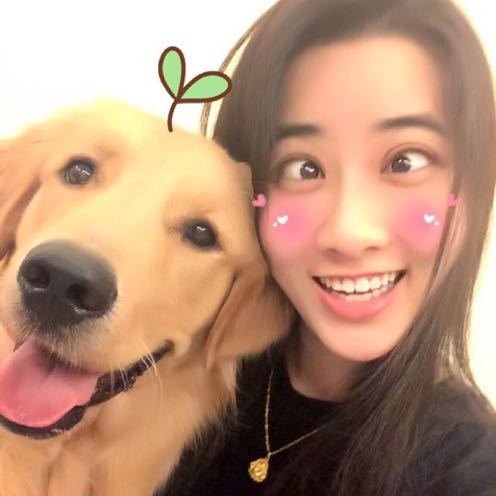 杨可加油