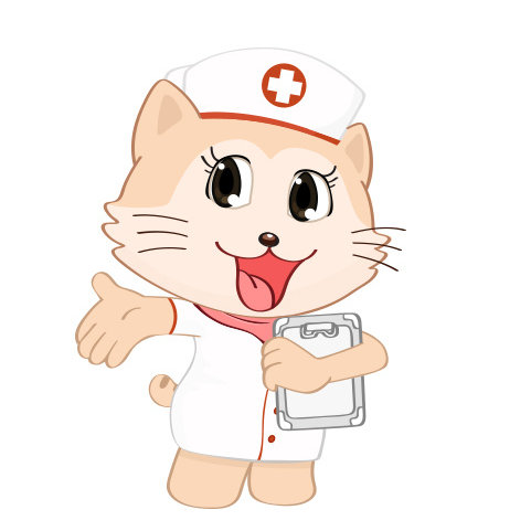 康猫来了