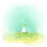 柴向娟