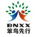 笨鸟先行电商