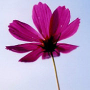 环保公益