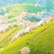 梦的时光旅行