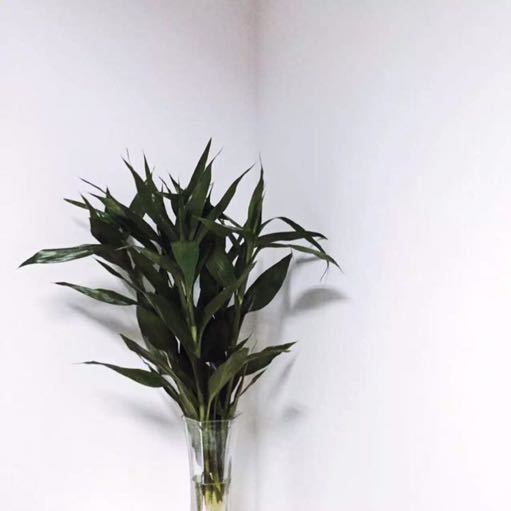 微微一笑很清爽