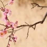 刀锋正能量
