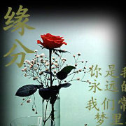 女装高级order