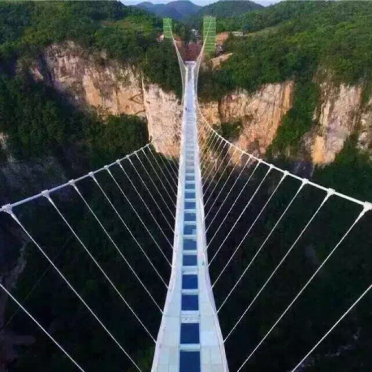 脸丶走桃花_