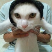 北理动起来