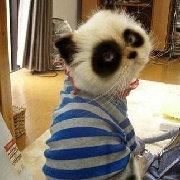 文艺范儿乐悠悠