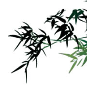 酒尽觞倾