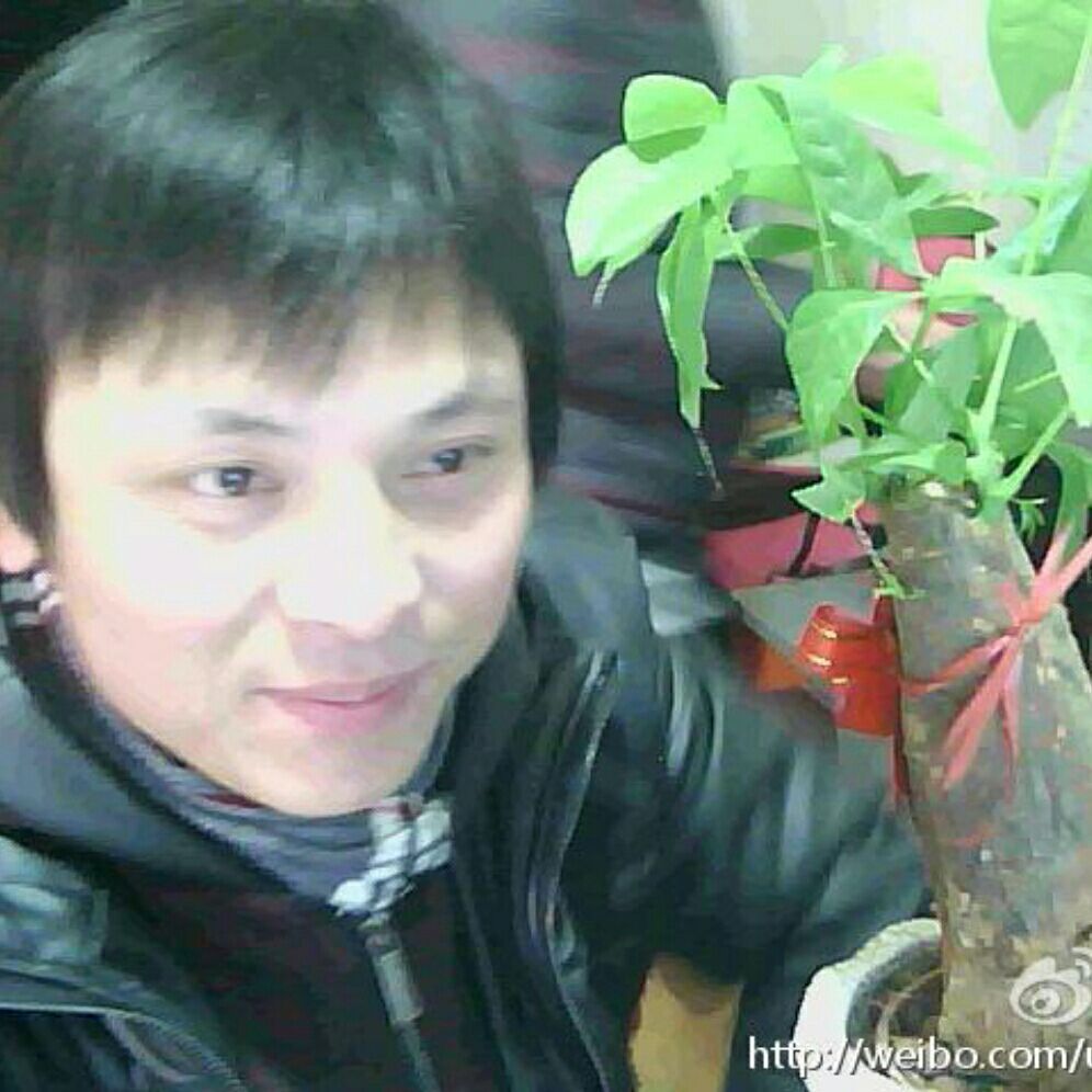 温州速廉跑腿