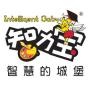 智力宝