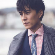 飞翔的田鹅