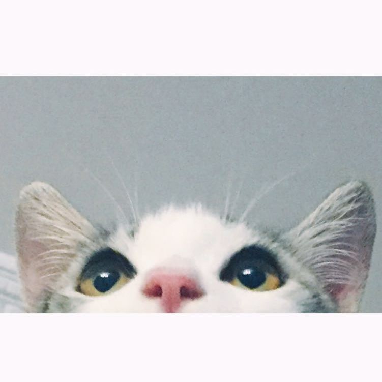 吴苣小面