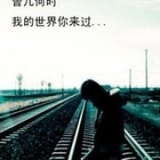 _Z度的美食
