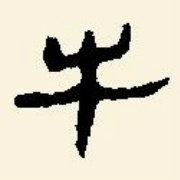 江门牛博