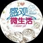 感观微生活