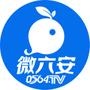 微六安