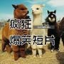 疯狂爆笑短片