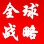 全球局势战略纵横