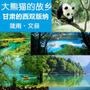 陇南文县